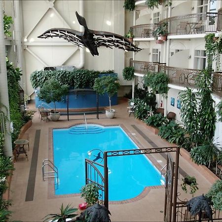 Hotel L'Oie Des Neiges Levis Luaran gambar