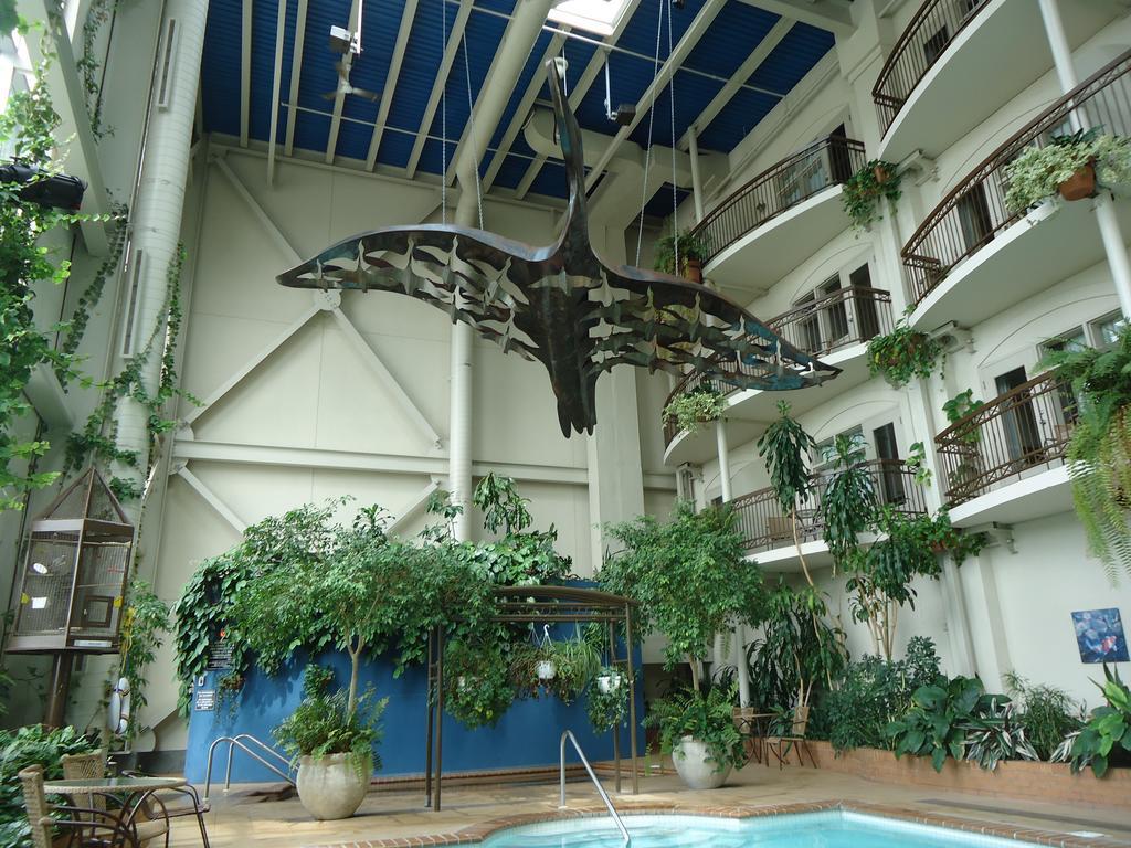 Hotel L'Oie Des Neiges Levis Luaran gambar